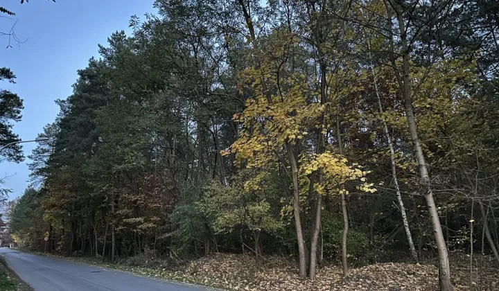 Działka budowlana Ostrowiec Świętokrzyski, ul. Folwark Piaski