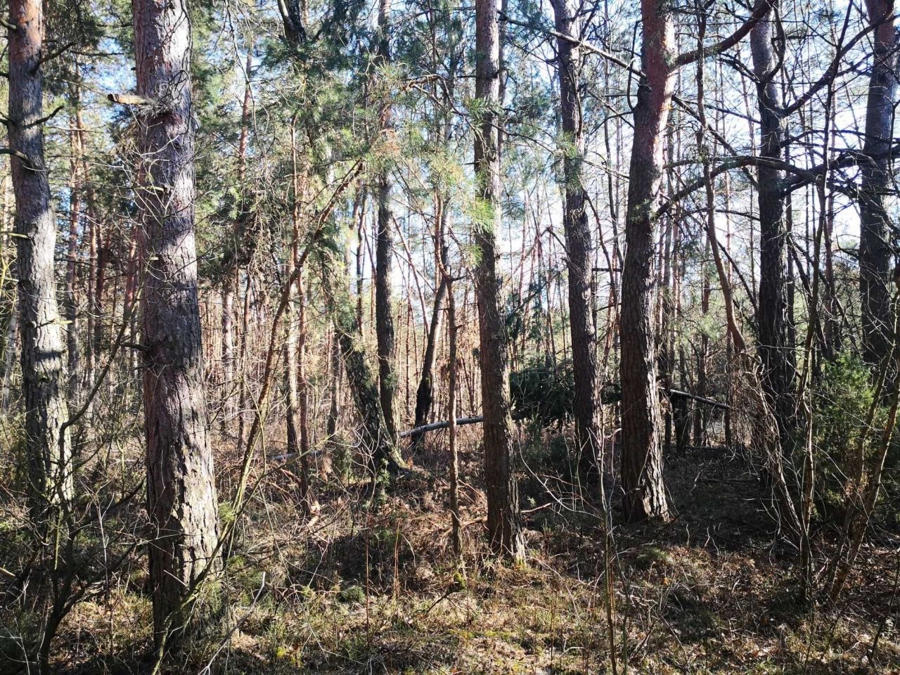 dom wolnostojący Witów. Zdjęcie 7