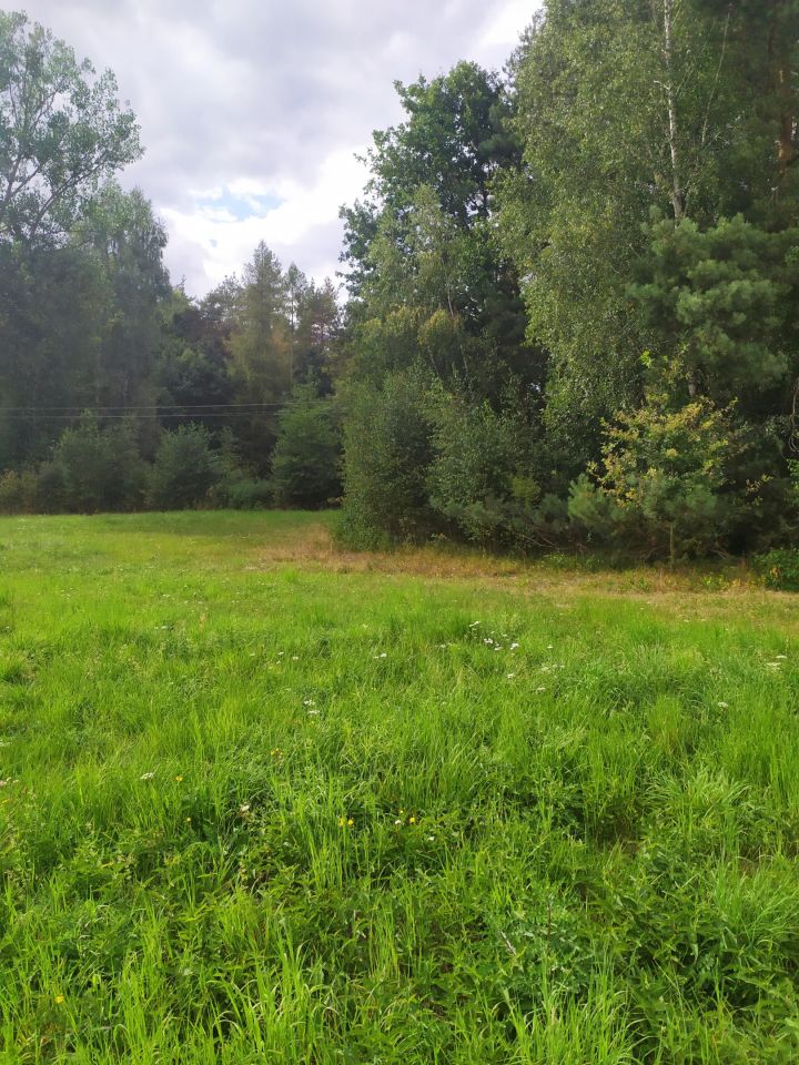 Działka budowlana Kamionka, ul. Leśna. Zdjęcie 2