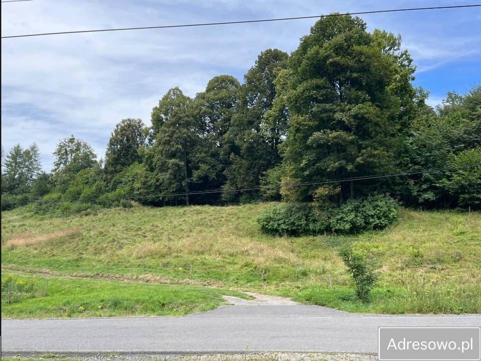 Działka siedliskowa Leszna Górna. Zdjęcie 4