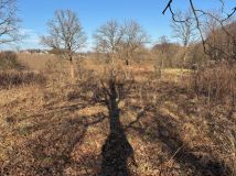 Działka rekreacyjna Poręba Żegoty. Zdjęcie 1