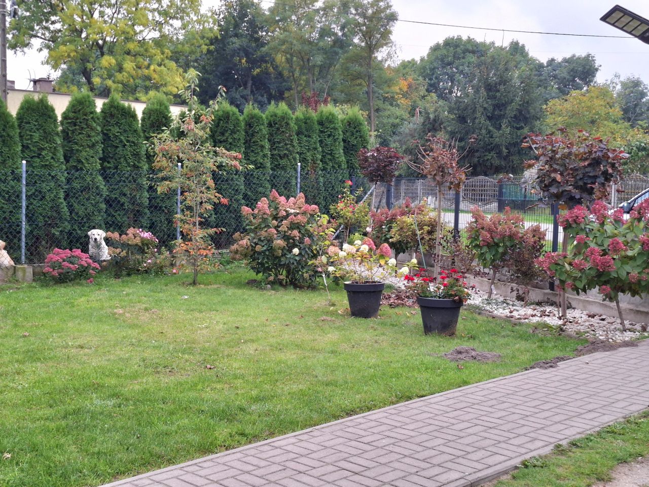 dom wolnostojący, 5 pokoi Branica. Zdjęcie 30