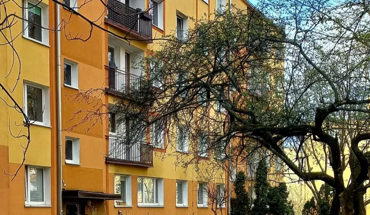 Mieszkanie 3-pokojowe Łódź Górna