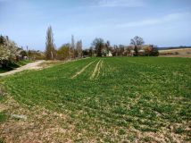 Działka siedliskowa Krześnica. Zdjęcie 3