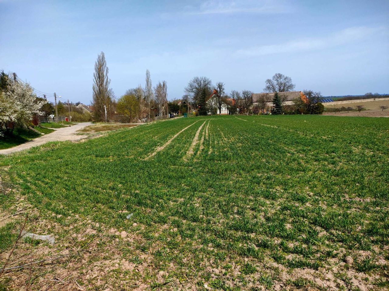 Działka siedliskowa Krześnica. Zdjęcie 4