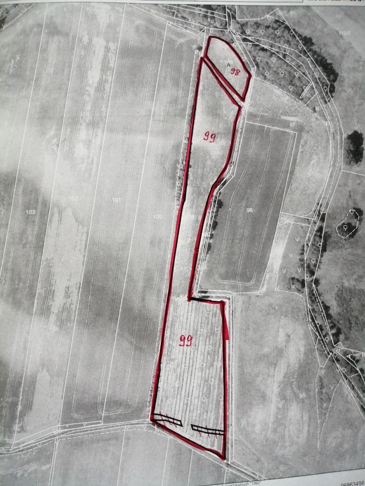 Działka rolna Piotrkowiczki. Zdjęcie 2