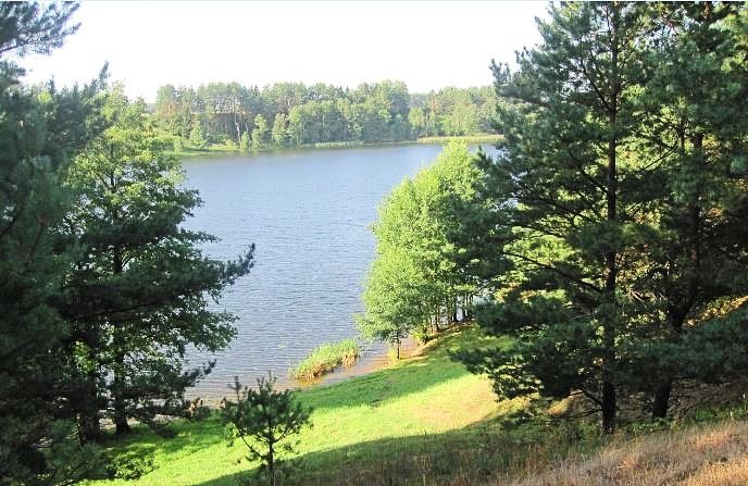 Działka rolna Rabalina. Zdjęcie 6