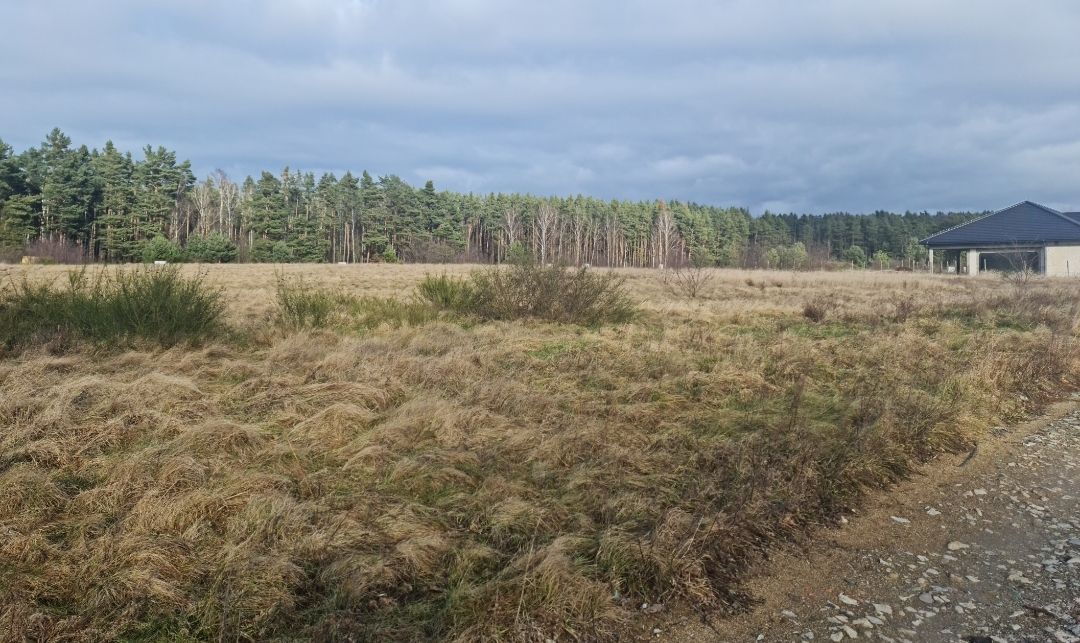 Działka budowlana Zimna Woda. Zdjęcie 12
