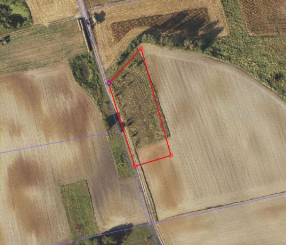 Działka rolno-budowlana Osiecz Mały. Zdjęcie 1