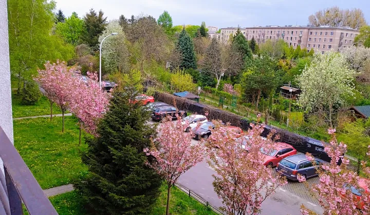 Mieszkanie 1-pokojowe Warszawa Mokotów, ul. Racławicka
