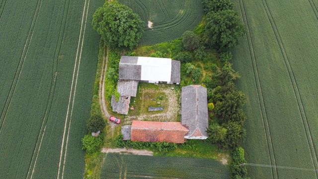 Działka siedliskowa Nowa Wieś Złotoryjska. Zdjęcie 2