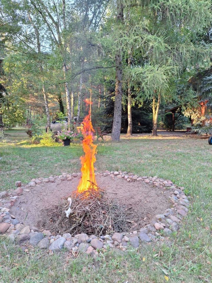 Działka rolno-budowlana Wytyczno. Zdjęcie 6