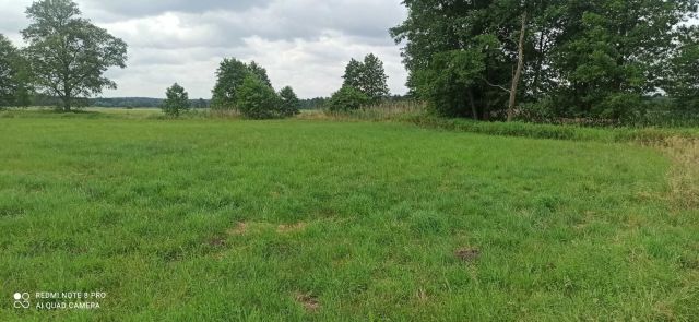 Działka rekreacyjna Stary Ciepielów. Zdjęcie 1