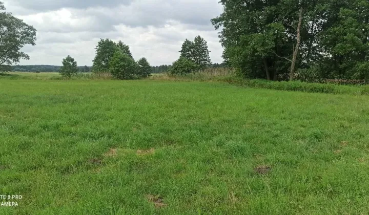 Działka rekreacyjna Stary Ciepielów