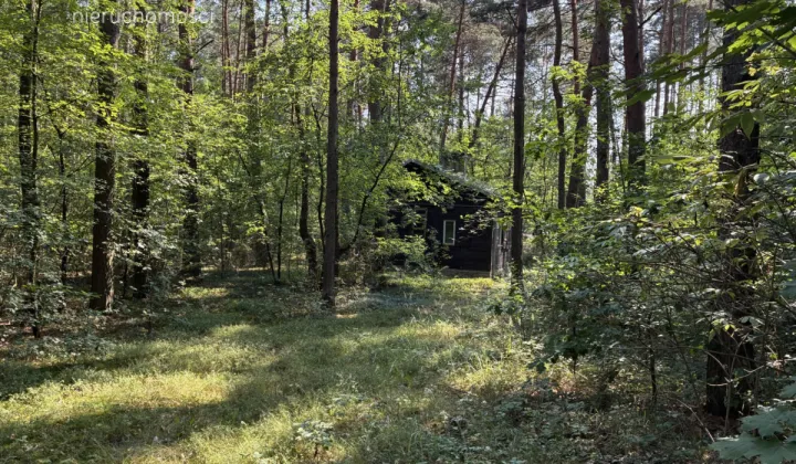 dom wolnostojący, 2 pokoje Rosanów, ul. Wiosenna