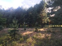 Działka budowlana Gwizdów Gwizdów. Zdjęcie 2