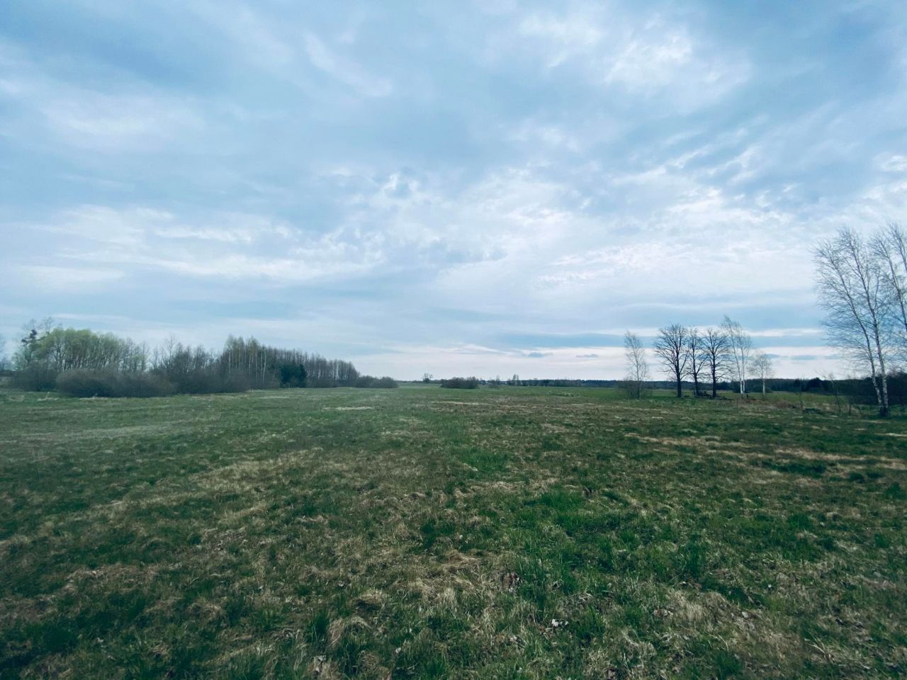 Działka siedliskowa Orzeszkowo Olszyna. Zdjęcie 7