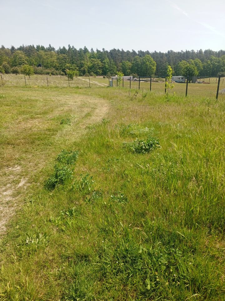 Działka budowlana Niedary. Zdjęcie 8