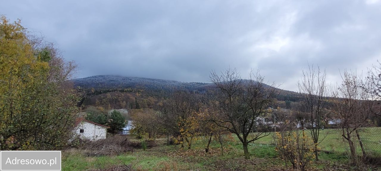 dom wolnostojący, 5 pokoi Sady. Zdjęcie 4