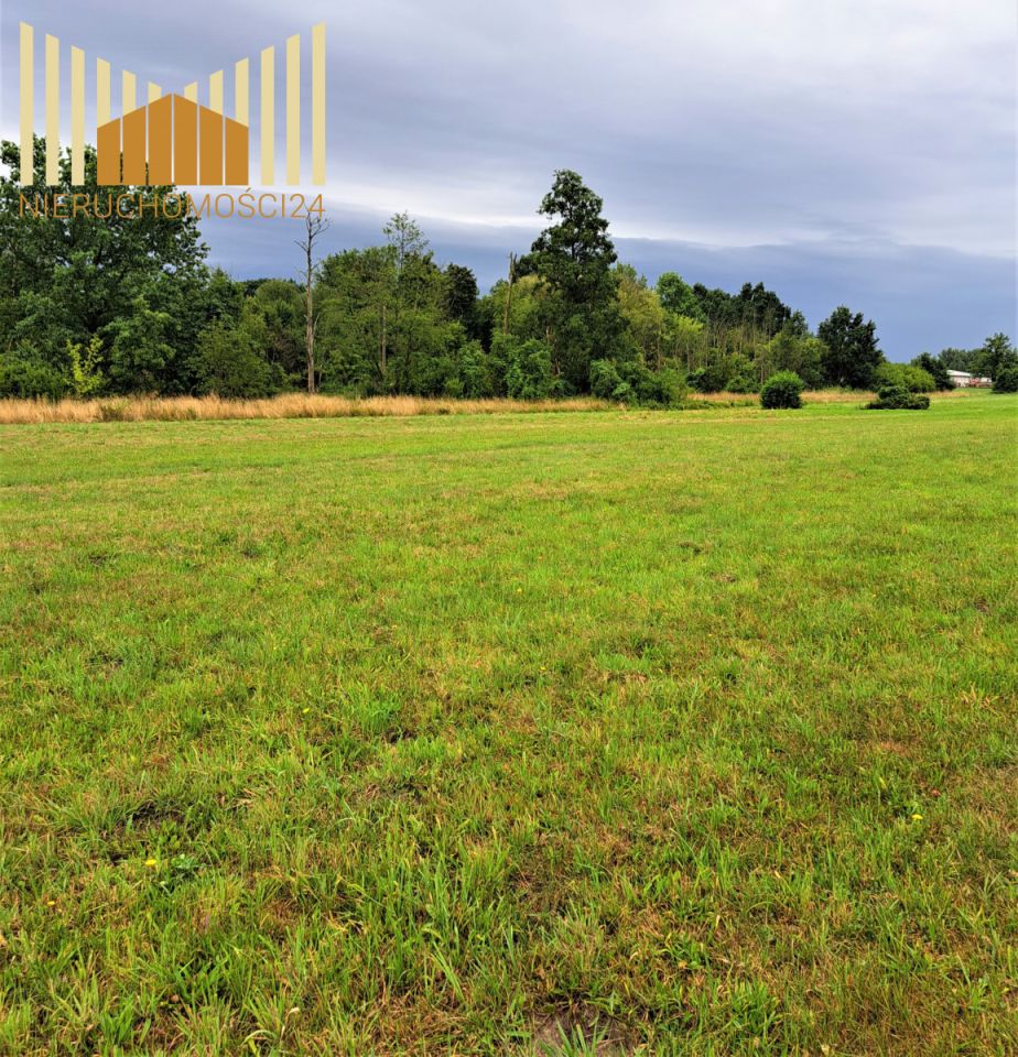 Działka rolna Mrozy. Zdjęcie 3