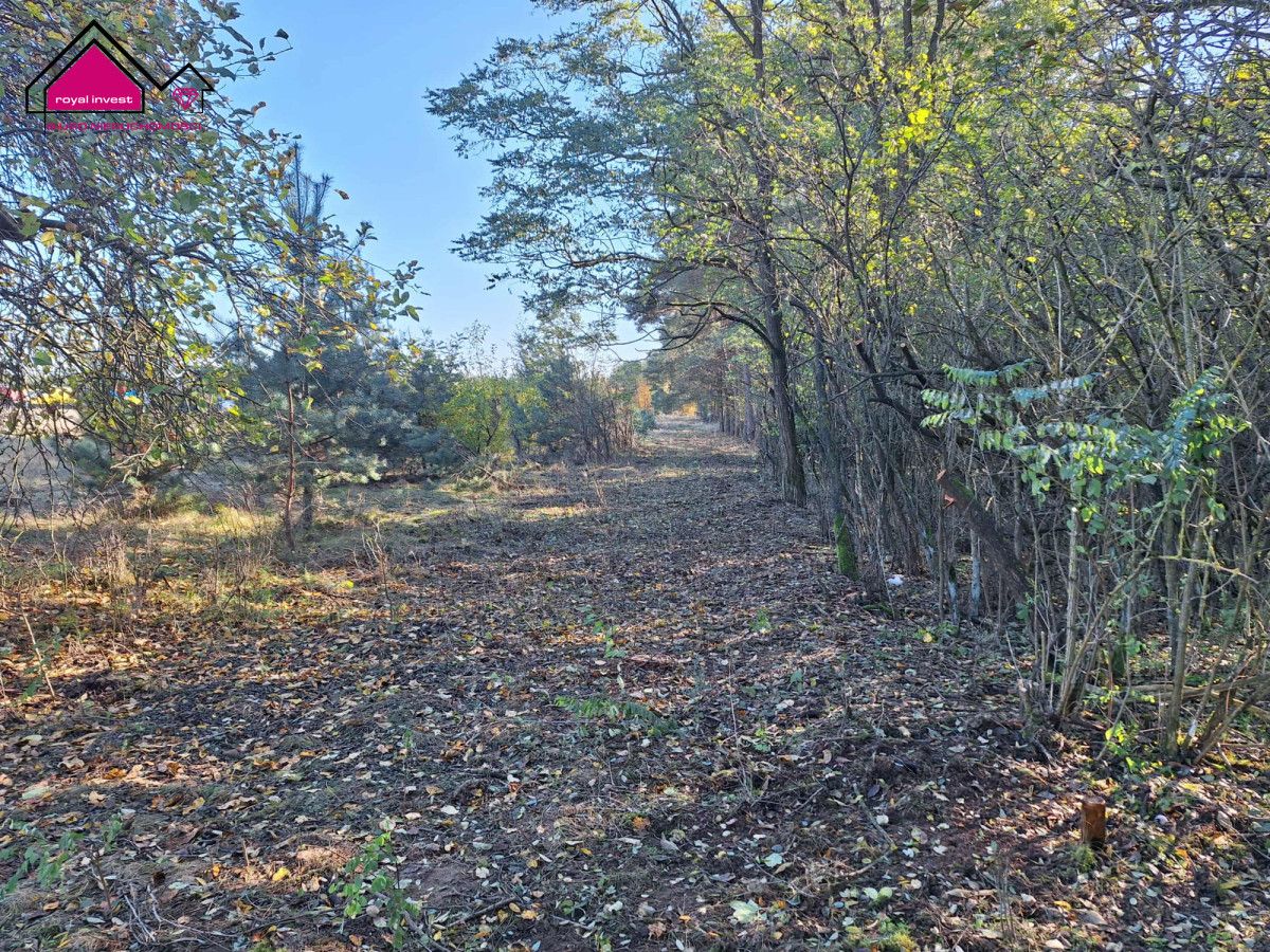 Działka budowlana Żółwieniec. Zdjęcie 12