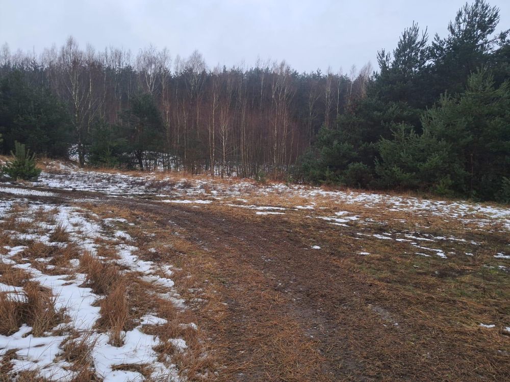 Działka rolno-budowlana Kochlew. Zdjęcie 7