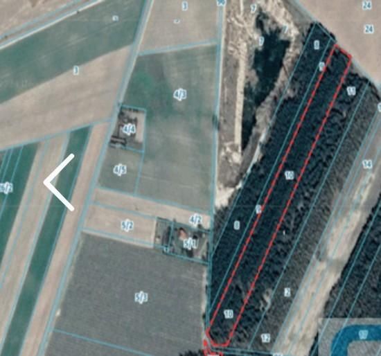 Działka rolna Niemgłowy. Zdjęcie 2