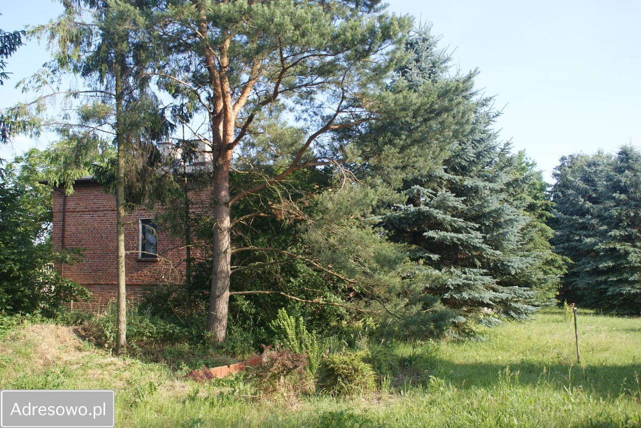 dom wolnostojący, 3 pokoje Dobroń. Zdjęcie 18