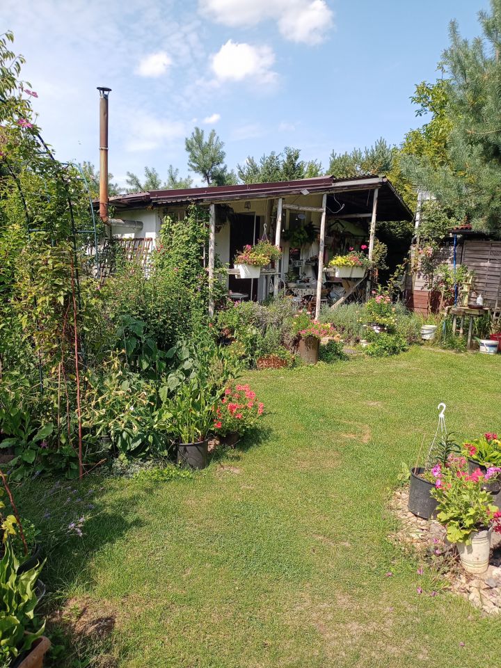 Działka rekreacyjna Wrocław Bierdzany, ul. Nizinna. Zdjęcie 15