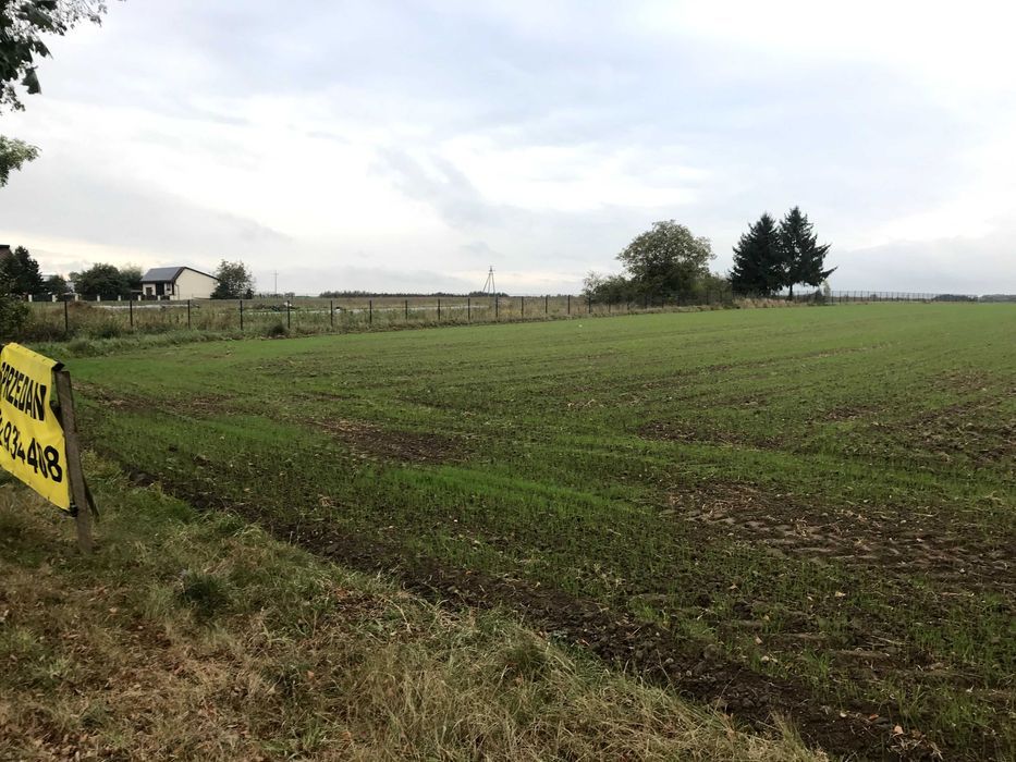 Działka rolno-budowlana Łosice. Zdjęcie 2