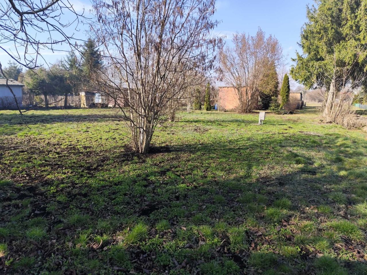 Działka rod Opoczno. Zdjęcie 3