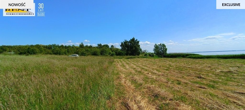 Działka rekreacyjna Płocin. Zdjęcie 13