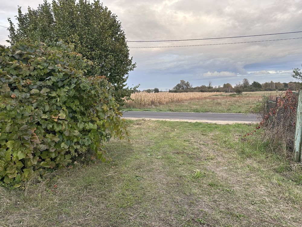 dom wolnostojący Żytnia. Zdjęcie 6