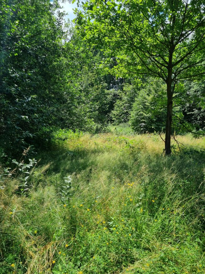 Działka budowlana Bielsko-Biała, Wawelska/Deszczowa. Zdjęcie 20