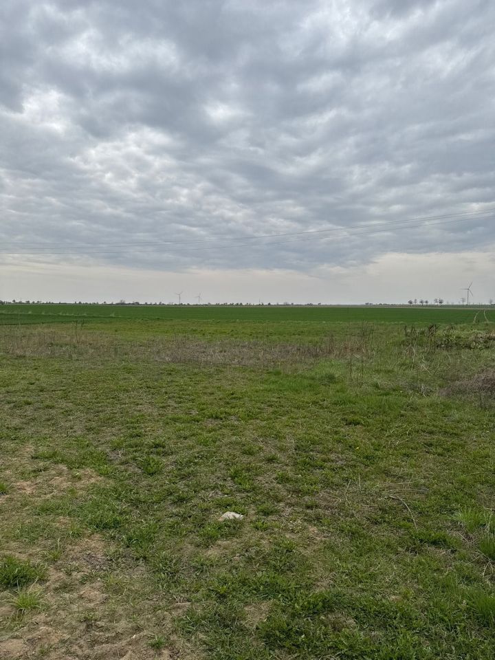 Działka budowlana Pawłowice. Zdjęcie 4