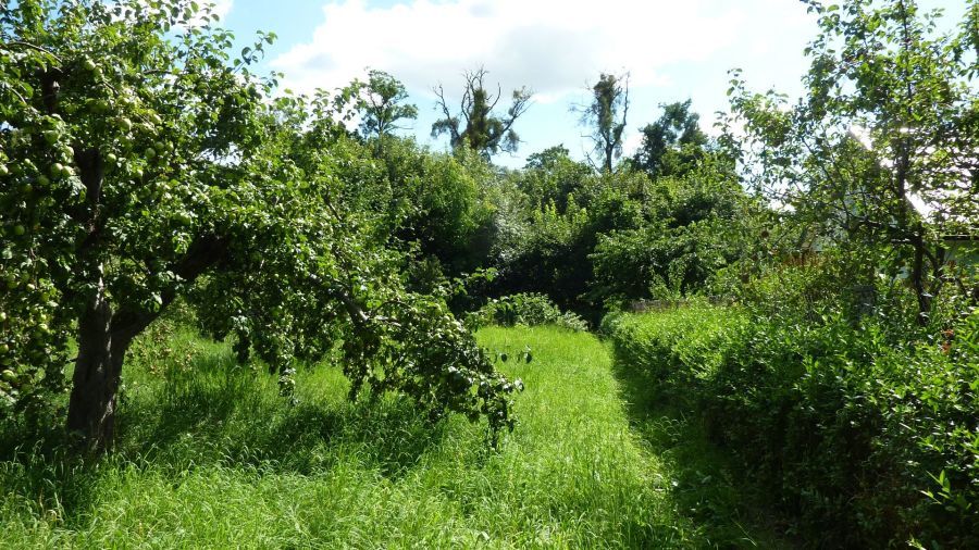dom wolnostojący, 6 pokoi Elbląg, ul. Bolesława Chrobrego. Zdjęcie 14