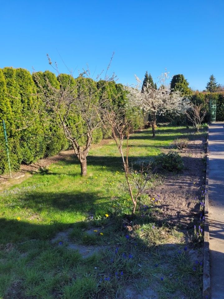 Działka rod Tczew Czyżykowo, ul. Bałdowska. Zdjęcie 6