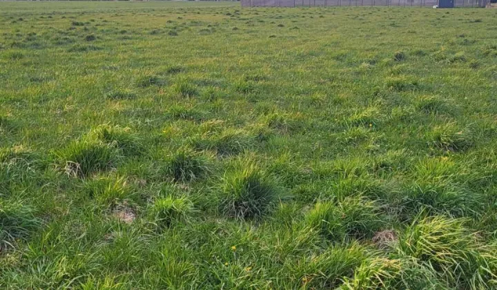 Działka budowlana Brzozów-Kolonia