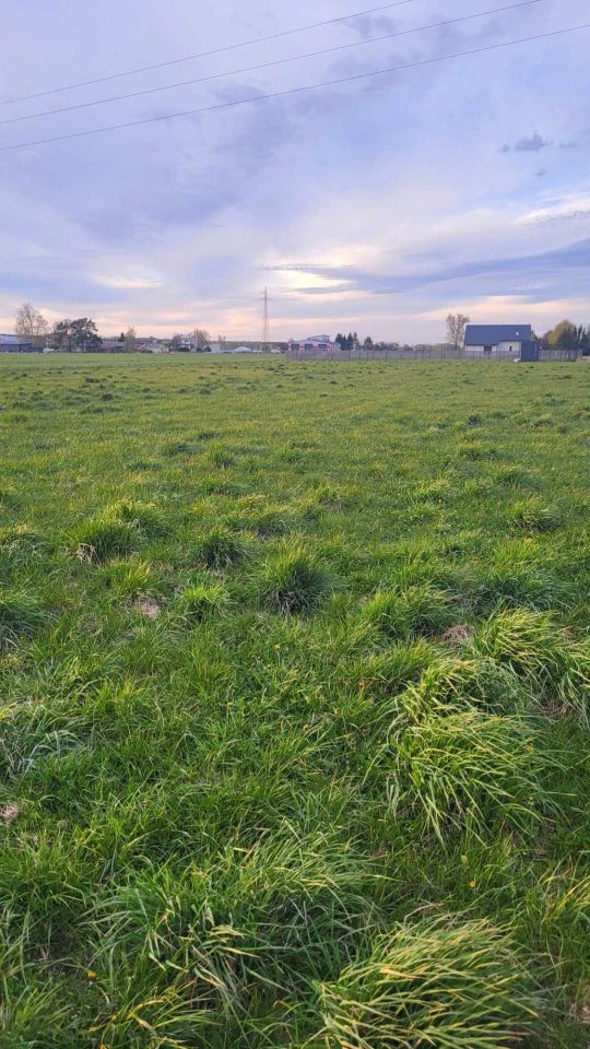 Działka budowlana Brzozów-Kolonia. Zdjęcie 1