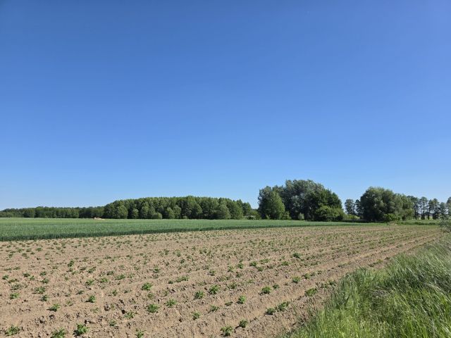 Działka budowlana Skalmierzyce, ul. Brzozowa. Zdjęcie 1