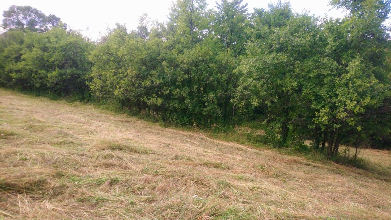 Działka rolno-budowlana Świdnik. Zdjęcie 2