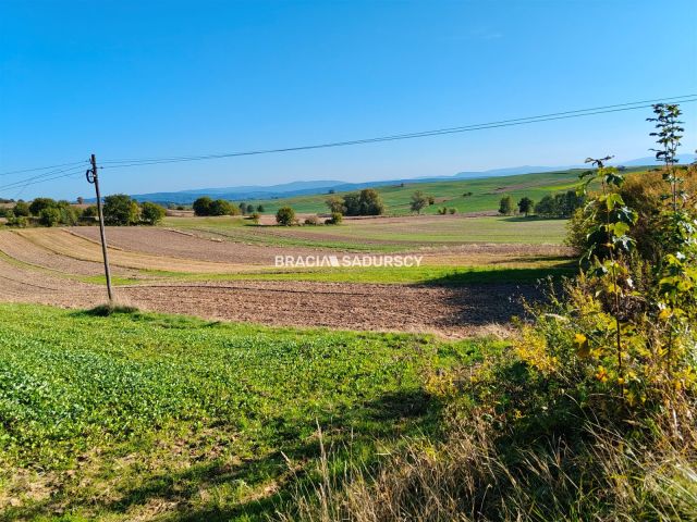 Działka rolno-budowlana Brzezie. Zdjęcie 11