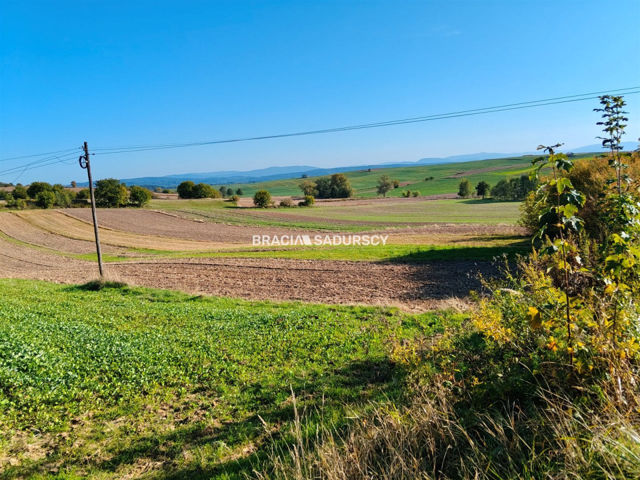 Działka rolno-budowlana Brzezie. Zdjęcie 11