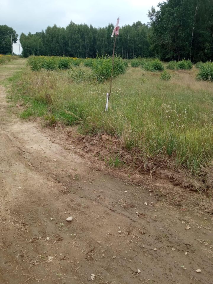 Działka budowlana Nowa Wieś Ostródzka. Zdjęcie 7