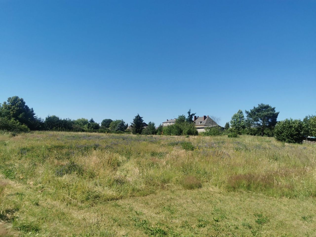 Działka budowlana Lipka. Zdjęcie 14