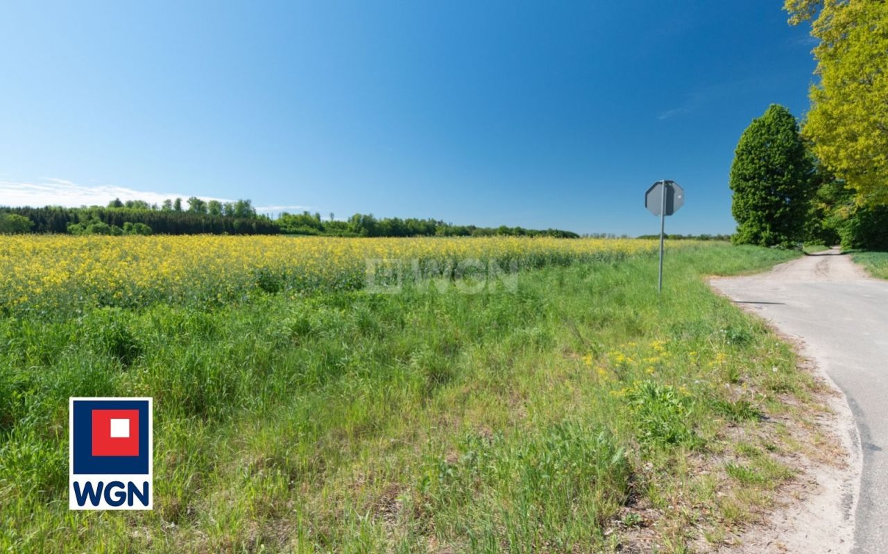 Działka budowlana Rychliki. Zdjęcie 6