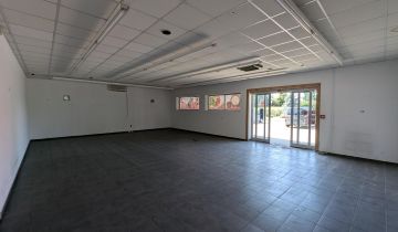 Nieruchomość komercyjna Fabianów, ul. Pleszewska