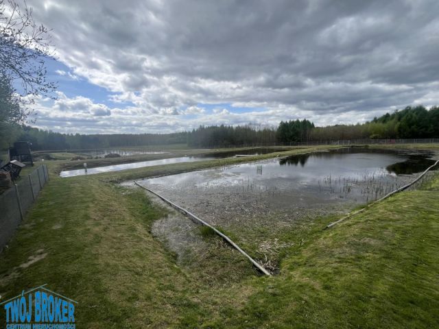 Nieruchomość komercyjna Bytów. Zdjęcie 6