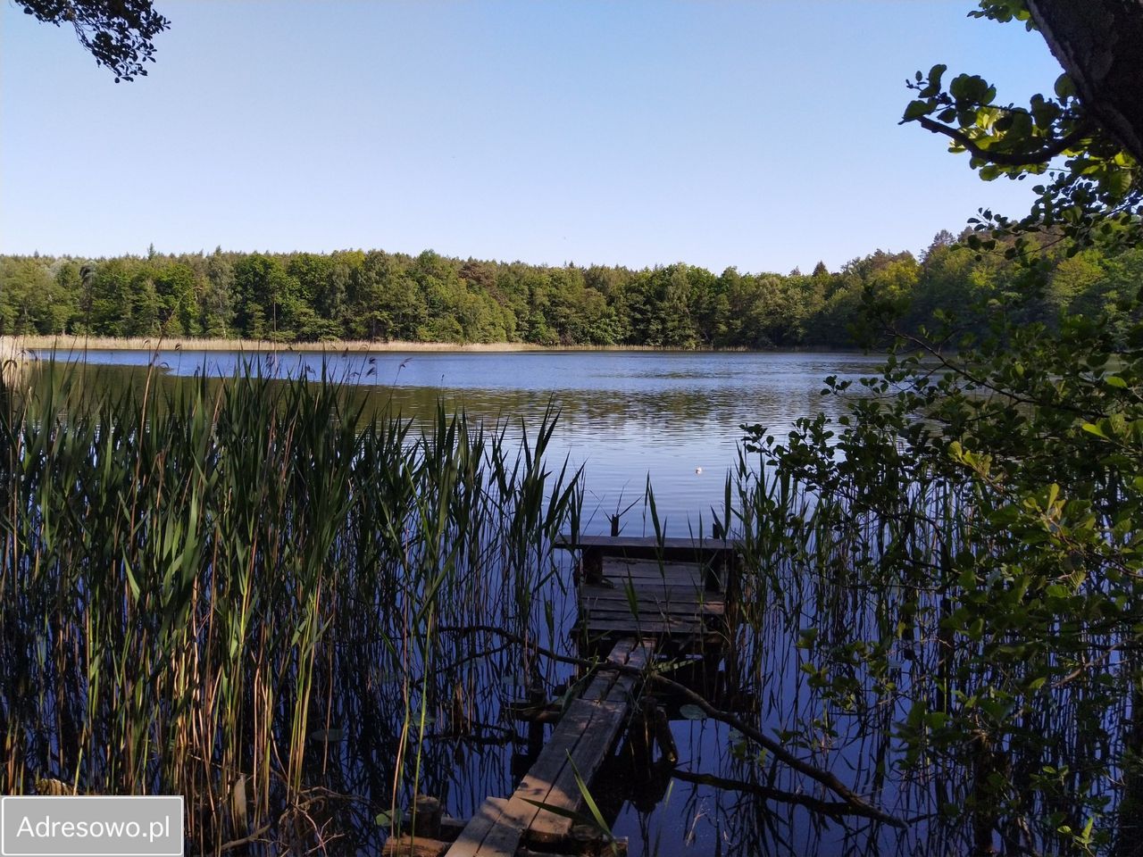 Działka rolna Chłopowo. Zdjęcie 6