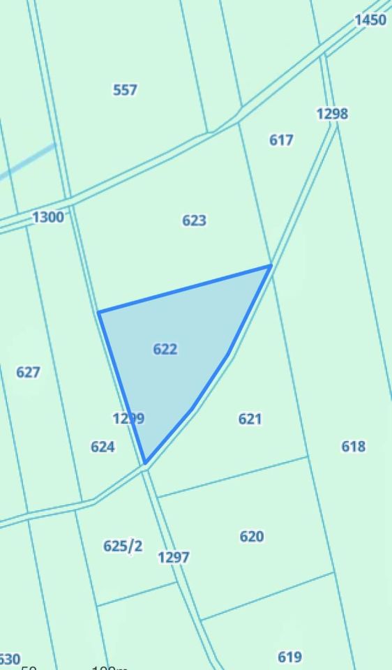 Działka rolna Kamienica. Zdjęcie 1